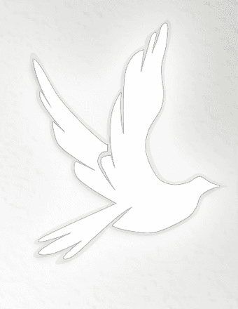 Baby Boy Ashton Lynch Obituary